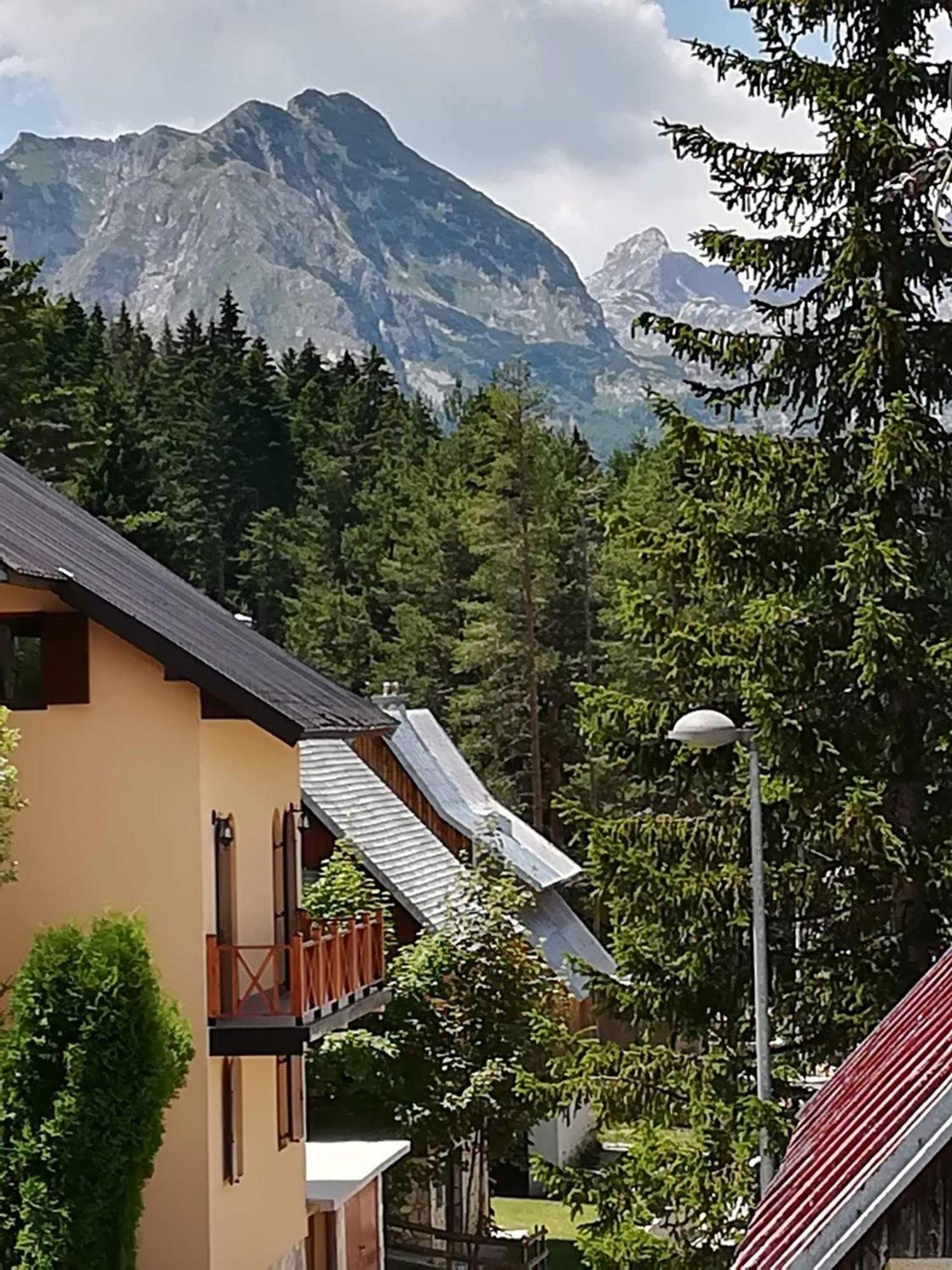 Kalpa Проживание в семье *