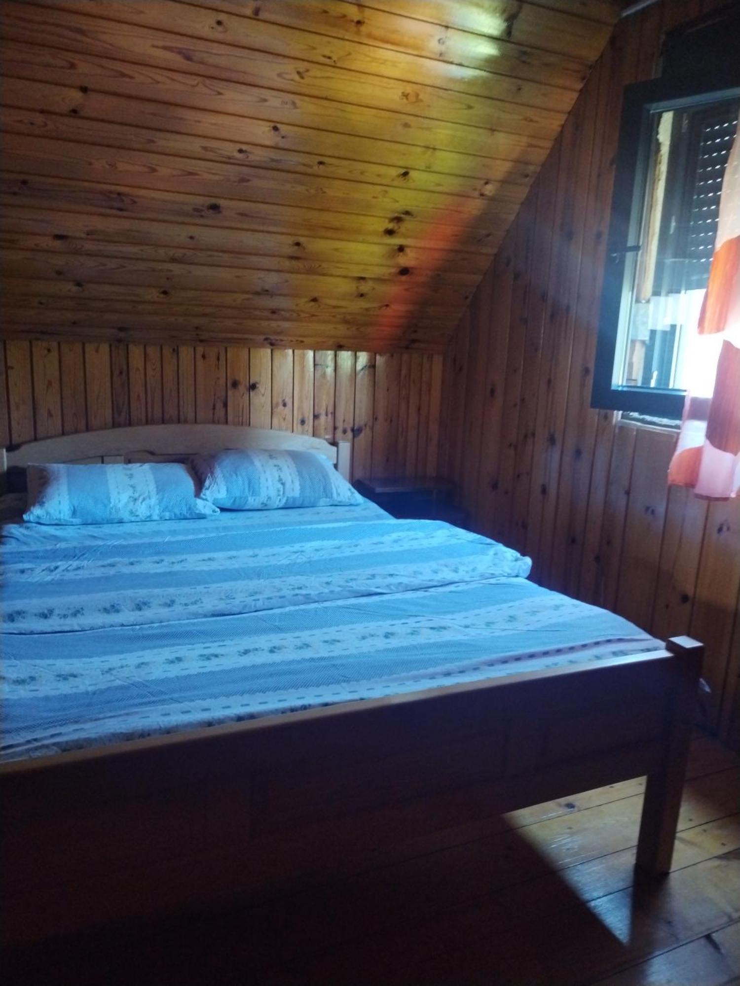 Kalpa Проживание в семье *